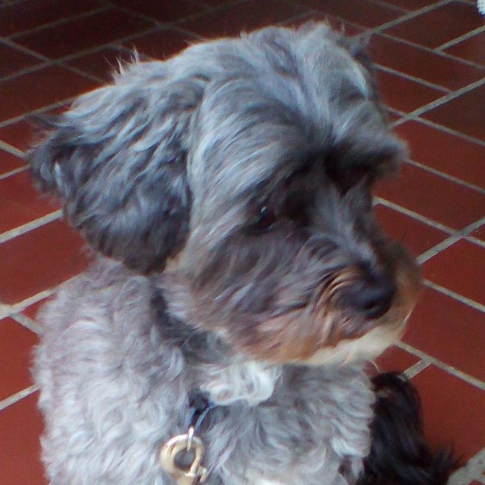 Meet your Posher, Steffanie